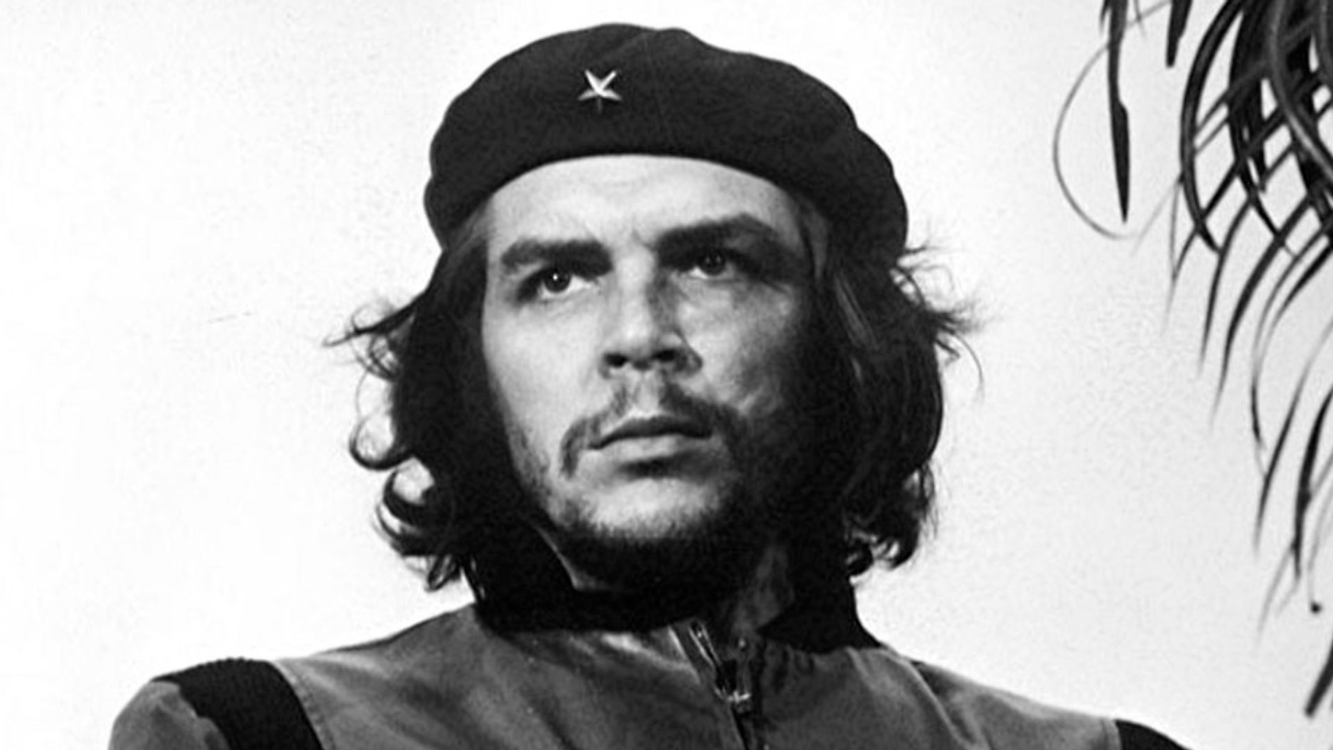 En este momento estás viendo Caso de estudio Che Guevara